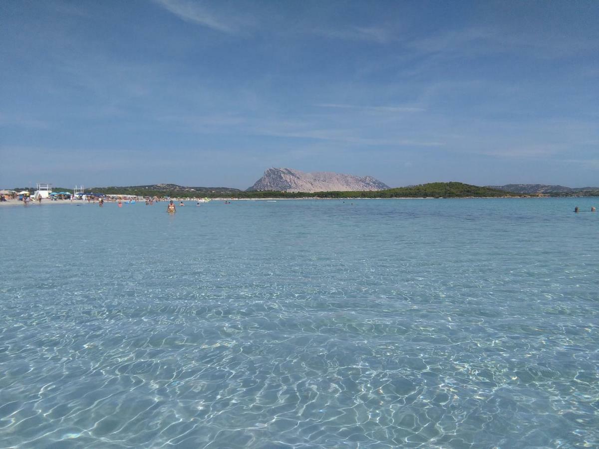 ムルタ・マリアCasa Marina Mariaアパートメント エクステリア 写真